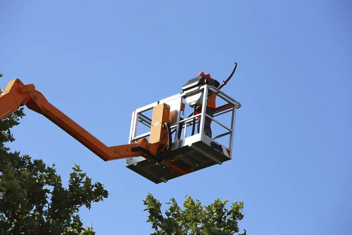 Framed Print : Workers on a work platform pruning trees Print Framed Print : Workers on a work platform pruning trees Print