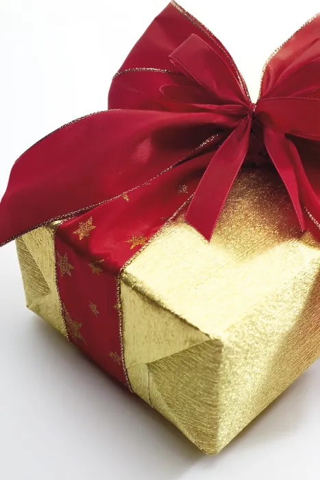 Framed Print : Wrapped Gift Print