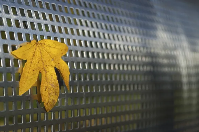 Framed Print : Yellow Leaf on Metal Structure Print Framed Print : Yellow Leaf on Metal Structure Print