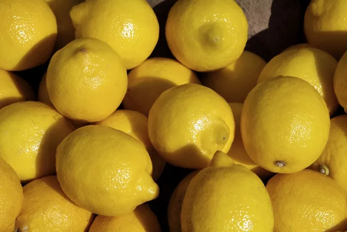 Framed Print : Yellow Lemon Print Framed Print : Yellow Lemon Print