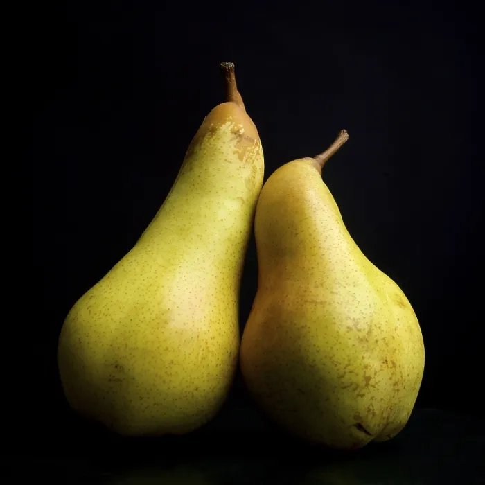 Framed Print : Yellow Pears Print on Black Background Framed Print : Yellow Pears Print on Black Background
