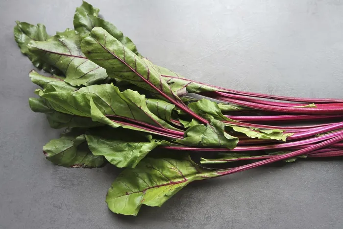 Framed Print : Young Beetroot Leaves Print Framed Print : Young Beetroot Leaves Print