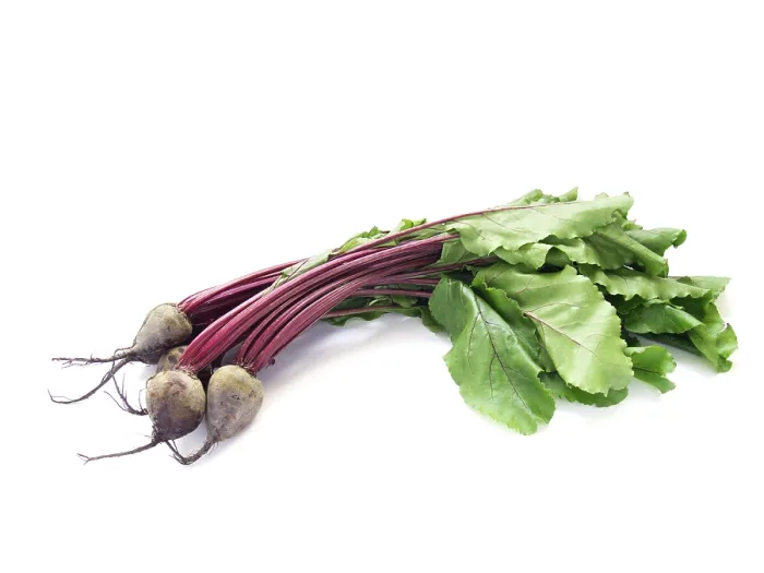Framed Print : Young Beetroot with Leaves Print Framed Print : Young Beetroot with Leaves Print