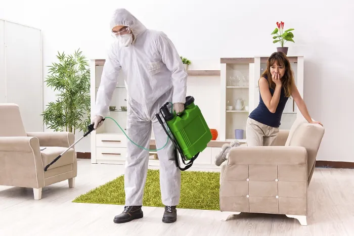 Framed Print : Young Professional Doing Pest Control Print Framed Print : Young Professional Doing Pest Control Print