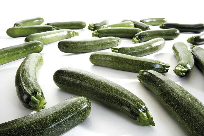 Framed Print : Zucchinis Print - Fresh Summer Squash Framed Print : Zucchinis Print - Fresh Summer Squash