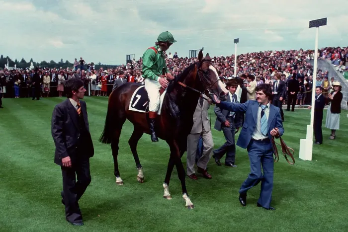 Framed Print : Shergar Ascot Print, 25 July 1981 Framed Print : Shergar Ascot Print, 25 July 1981