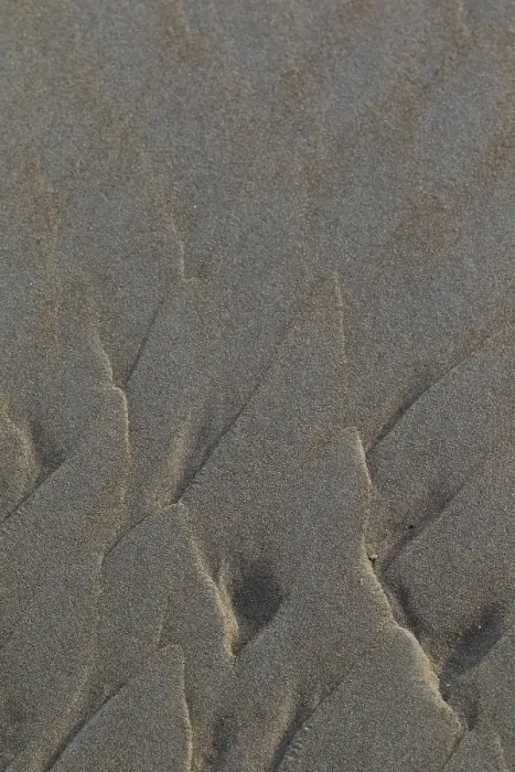 Framed Print : Beach Sand Patterns Print Framed Print : Beach Sand Patterns Print