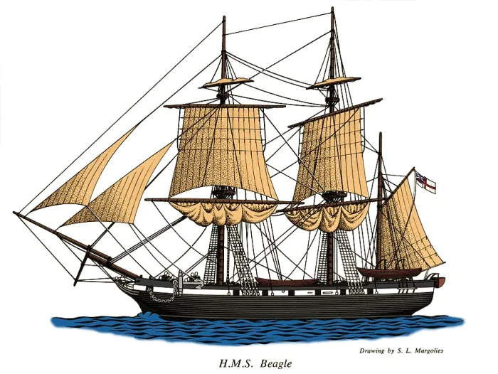 Framed Print : HMS Beagle Print: Engraving of the ship that surveyed South America