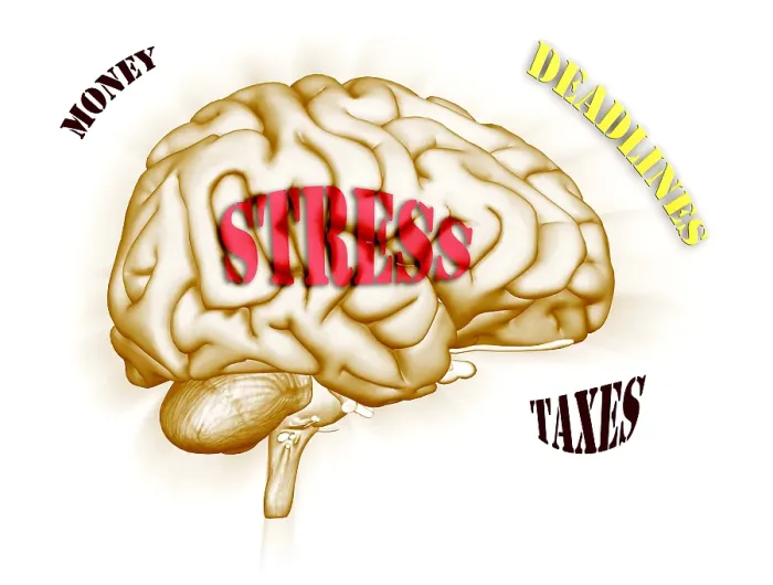 Framed Print : Human Brain Stress Print Framed Print : Human Brain Stress Print