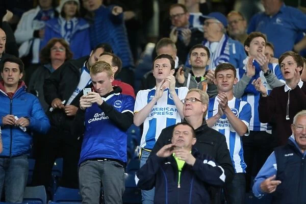 Brighton and Hove Albion vs. Sheffield Wednesday: Championship Play-Off Showdown (May 2016)