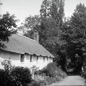 Dunster cottages BB53_00627