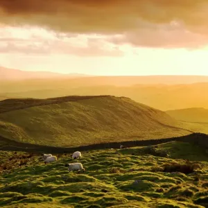 Hadrian's Wall Print, Westward View from Shield on the Wall Hadrian's Wall Print, Westward View from Shield on the Wall