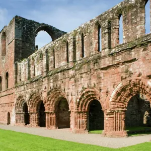 Furness Abbey East Cloister Print