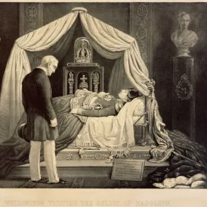 Wellington Visiting the Relics of Napoleon Print Wellington Visiting the Relics of Napoleon Print