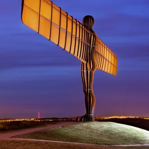 Gormley - Angel of the North DP059218