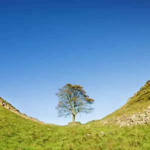 Hadrian's Wall Print, Northumberland Landscape Hadrian's Wall Print, Northumberland Landscape