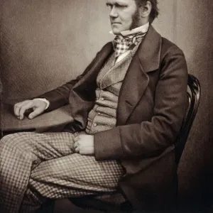 Charles Darwin Sepia Toned Print