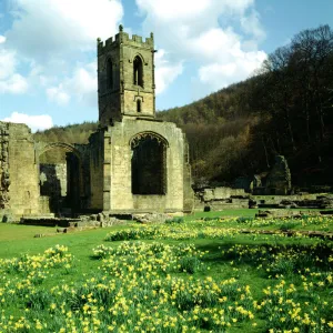 Medieval architecture Collection: Monasteries and abbeys