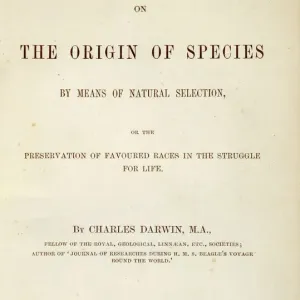 Print of On the Origin of Species title page from Down House