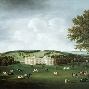 Essex Collection: Audley End
