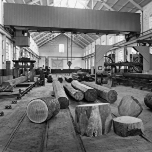 Carriage and Wagon Works Cushion Collection: Sawmills and Timber Yard