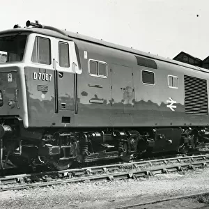 Class 35 Hymek Locomotive No. D7067 with pristine livery in about 1966