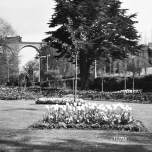 Trenance Gardens Print: Steam Locomotive on Viaduct