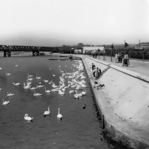 Radipole Lake Print, August 1929