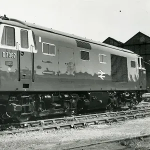 Class 35 Hymek Locomotive Print, circa 1966 Class 35 Hymek Locomotive Print, circa 1966