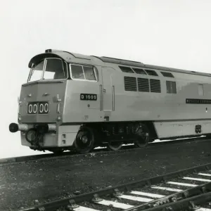 Class 52 Western Locomotive Print Class 52 Western Locomotive Print