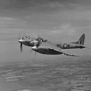 De Havilland Hornet F. 3