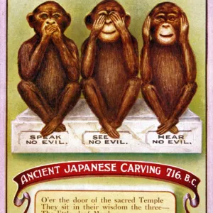 Popular Themes Jigsaw Puzzle Collection: 3 Wise Monkeys