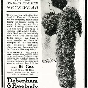 Advert for Peter Robinson ostrich feather neckwear 1924
