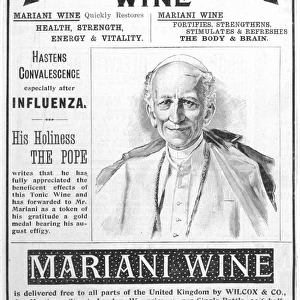 Advert / Wine / Mariani 1890