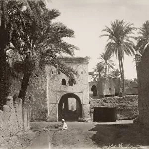 Algeria, c. 1890s - Sidi-Barkat, Biskra