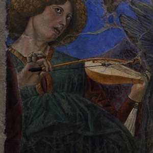 Angel playing a violin, c. 1480. Melozzo da Forli (1438-1494