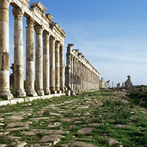 Apamea. Cardo Maximus. Syria