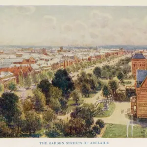Print of Adelaide, South Australia Print of Adelaide, South Australia