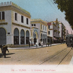 Avenue Jules Ferry, Tunis, Tunisia, North Africa