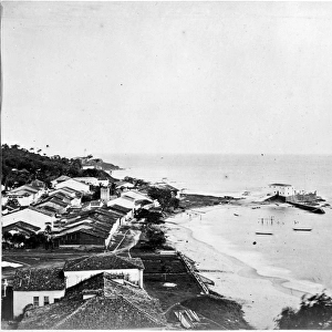 Bahia roadside view, Brazil, South America 1873