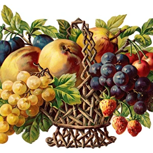 Basket of fruit on a Victorian scrap