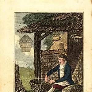 Basket maker weaving a basket from willow