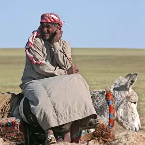 A Bedouin shepherd in Syria sitting sideways on donkey