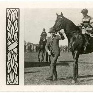 Bicolor, Australian race horse