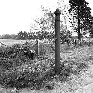 Bird nesting in a gatepost, Seaford, East Sussex