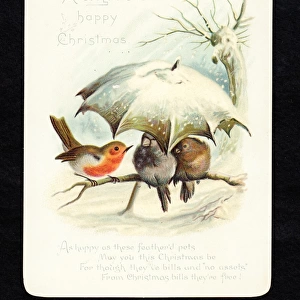Birds sheltering under umbrella on a Christmas card