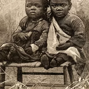 Two Black Children in a Cotton Field