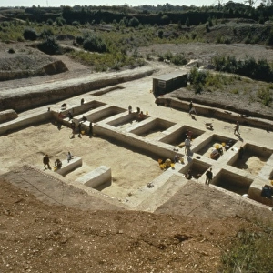 Boxgrove excavation site
