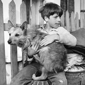 Boy with dog, Balham, SW London