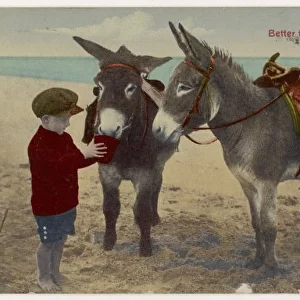 Boy and Two Donkeys